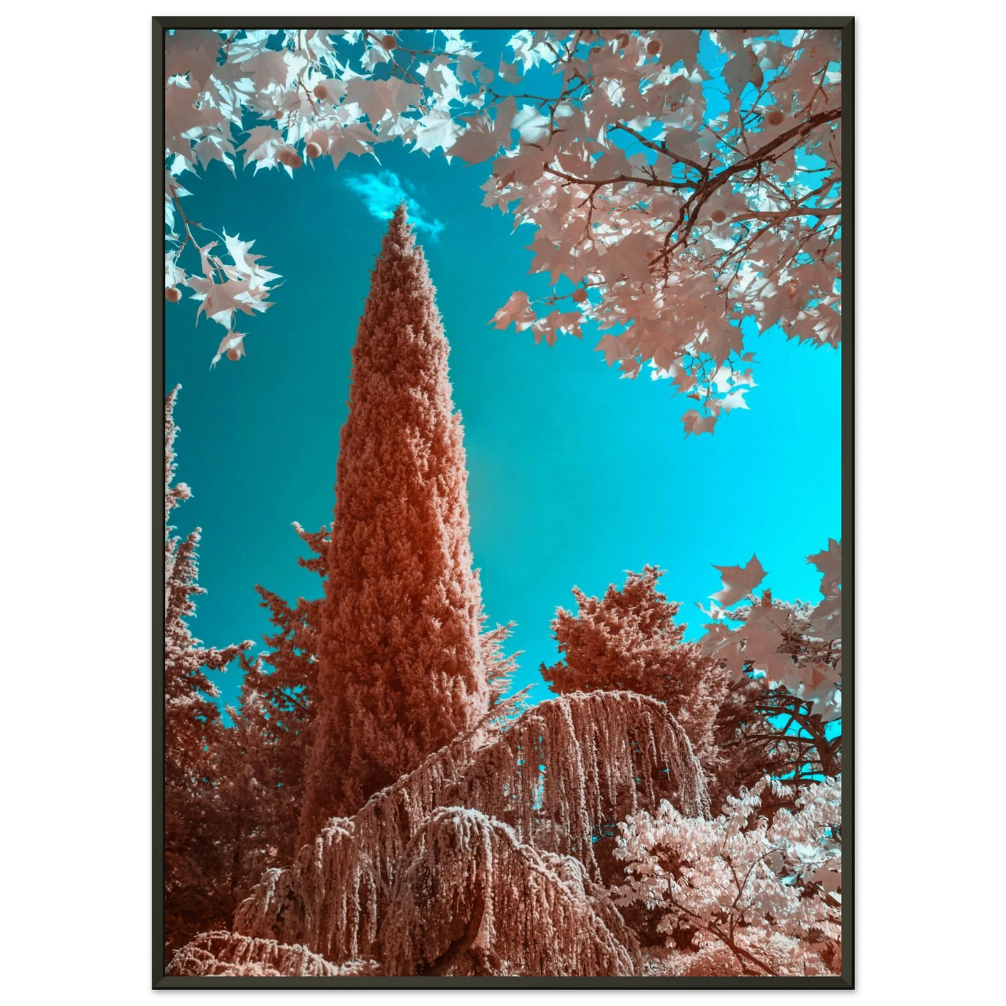 4b9326de-f4c5-48ad-89ce-24e85f24d84d