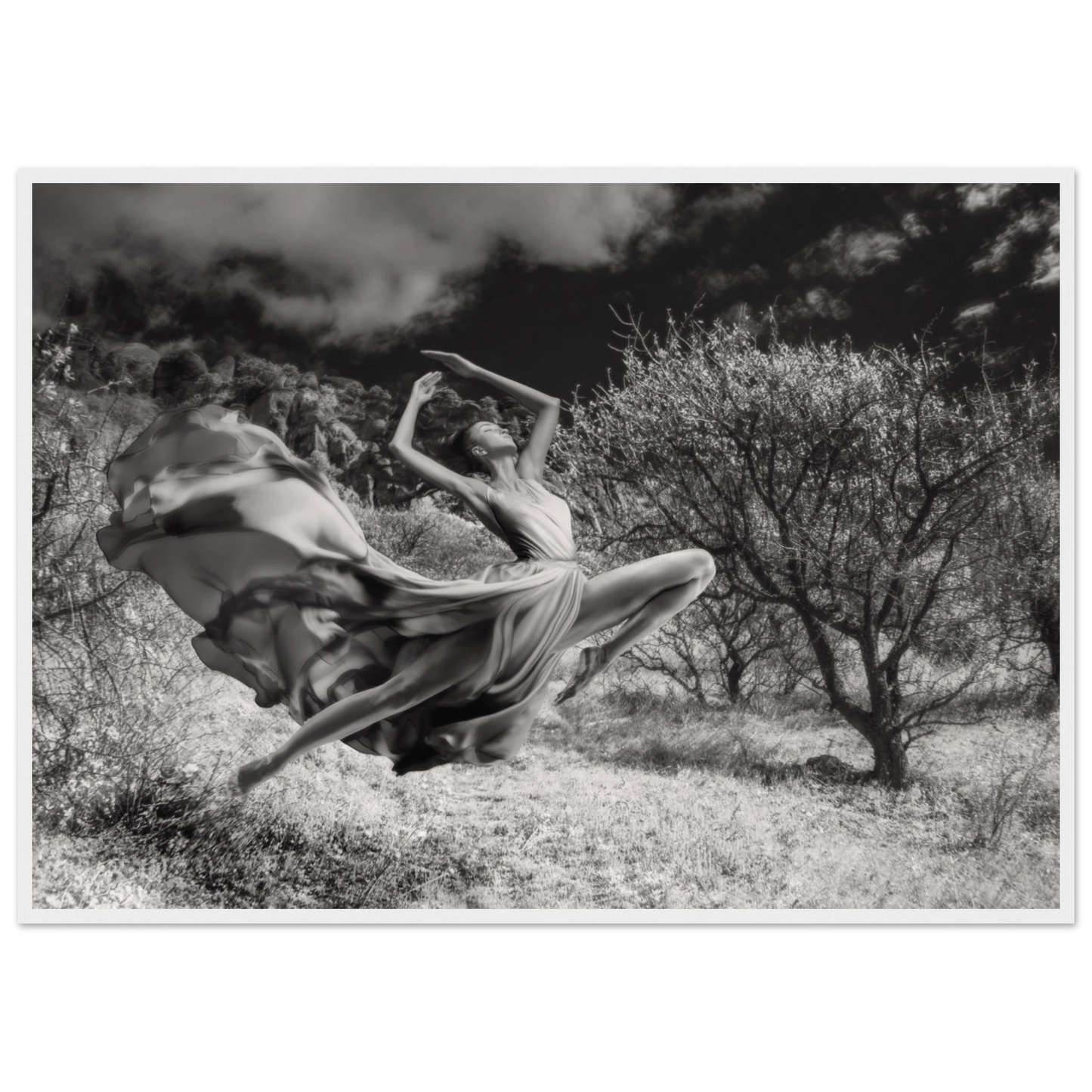 4dca3979-1e1f-40f5-8fdc-193f24cf4b01