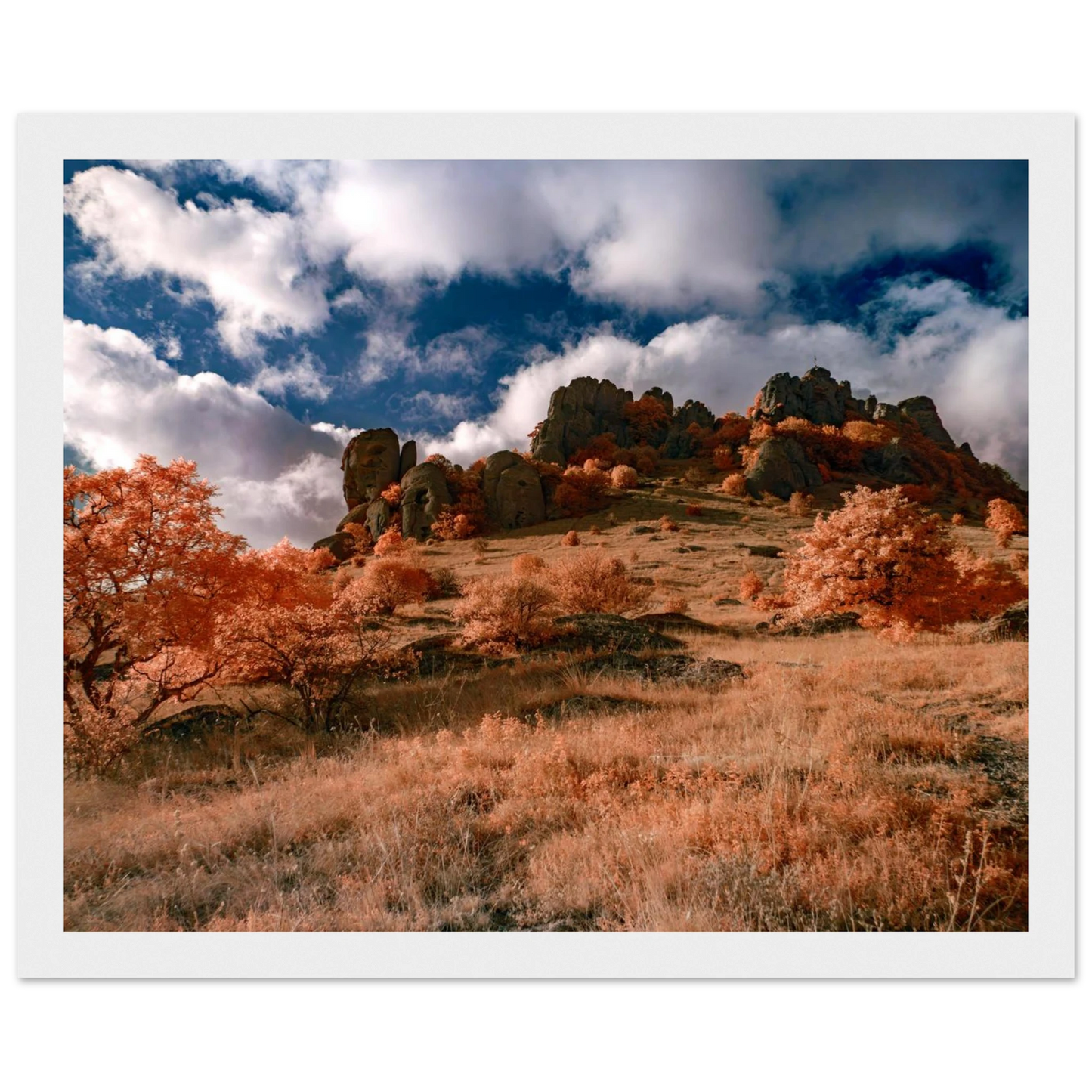 4f6d3966-e529-4ac7-b214-df82c8b40b78