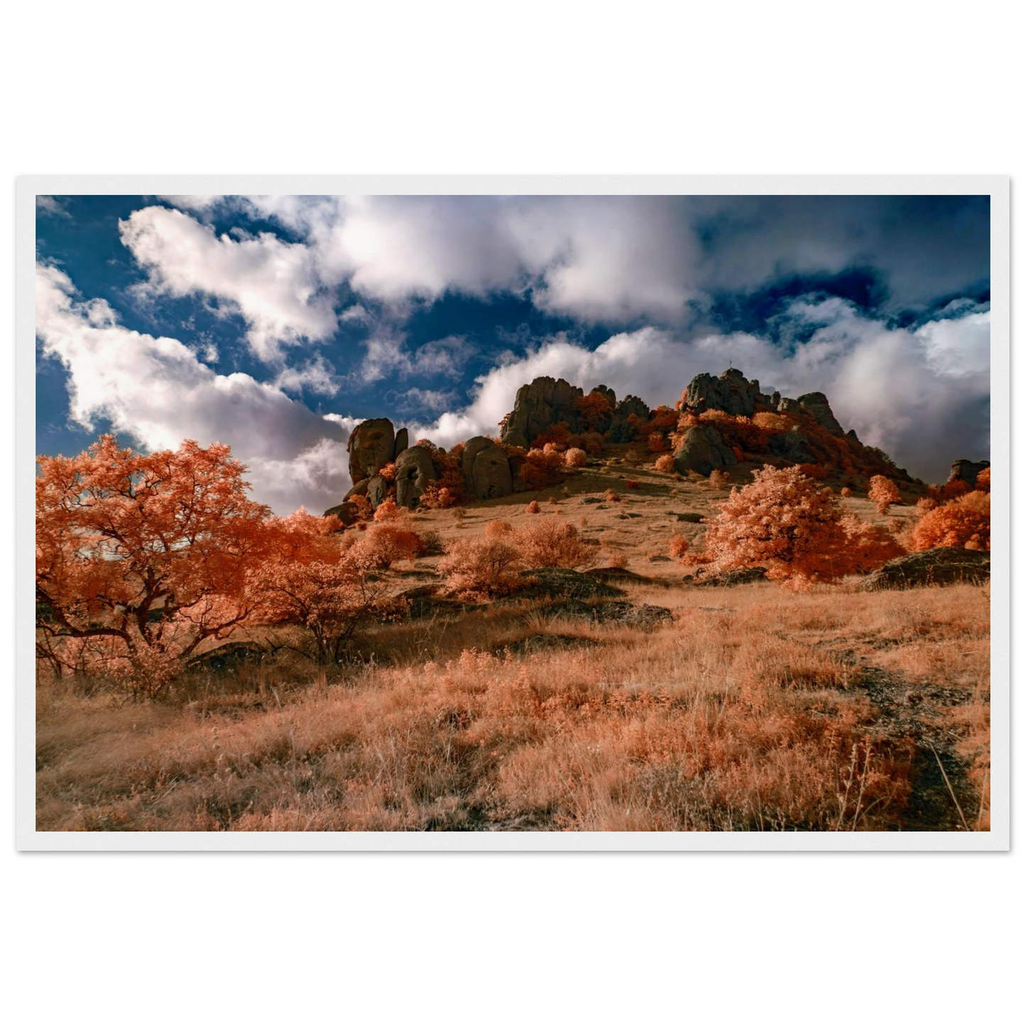 4fdbb828-96f7-4aa1-8bf3-ef75f73bbc86