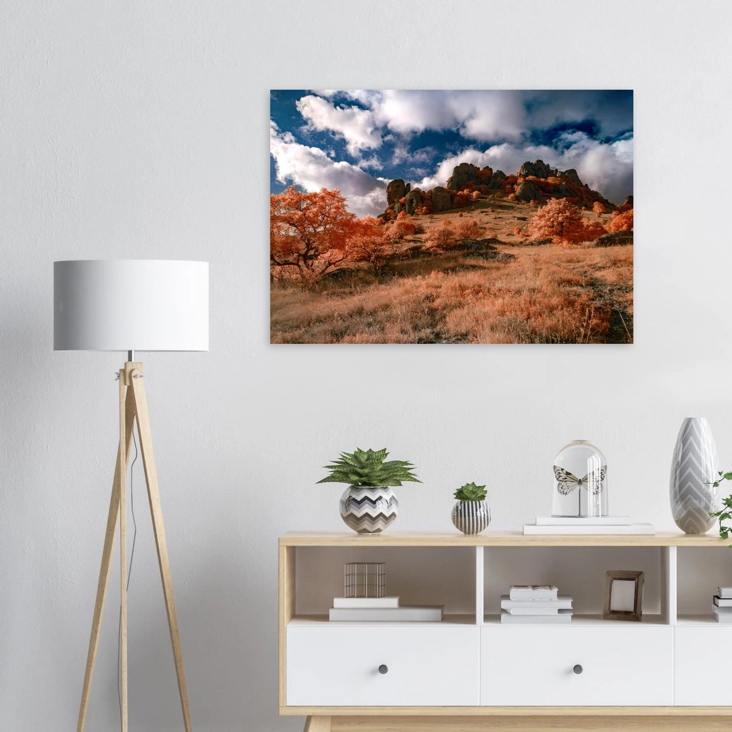 50238b9d-aaa8-4545-a103-e71e0abf34ec