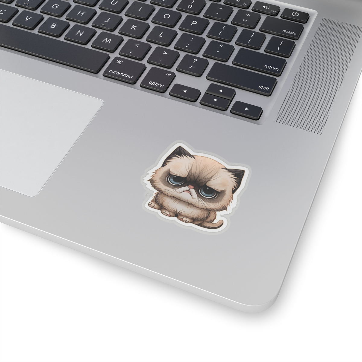 Kiss-Cut Sticker of cute funny cat kitten for your collection