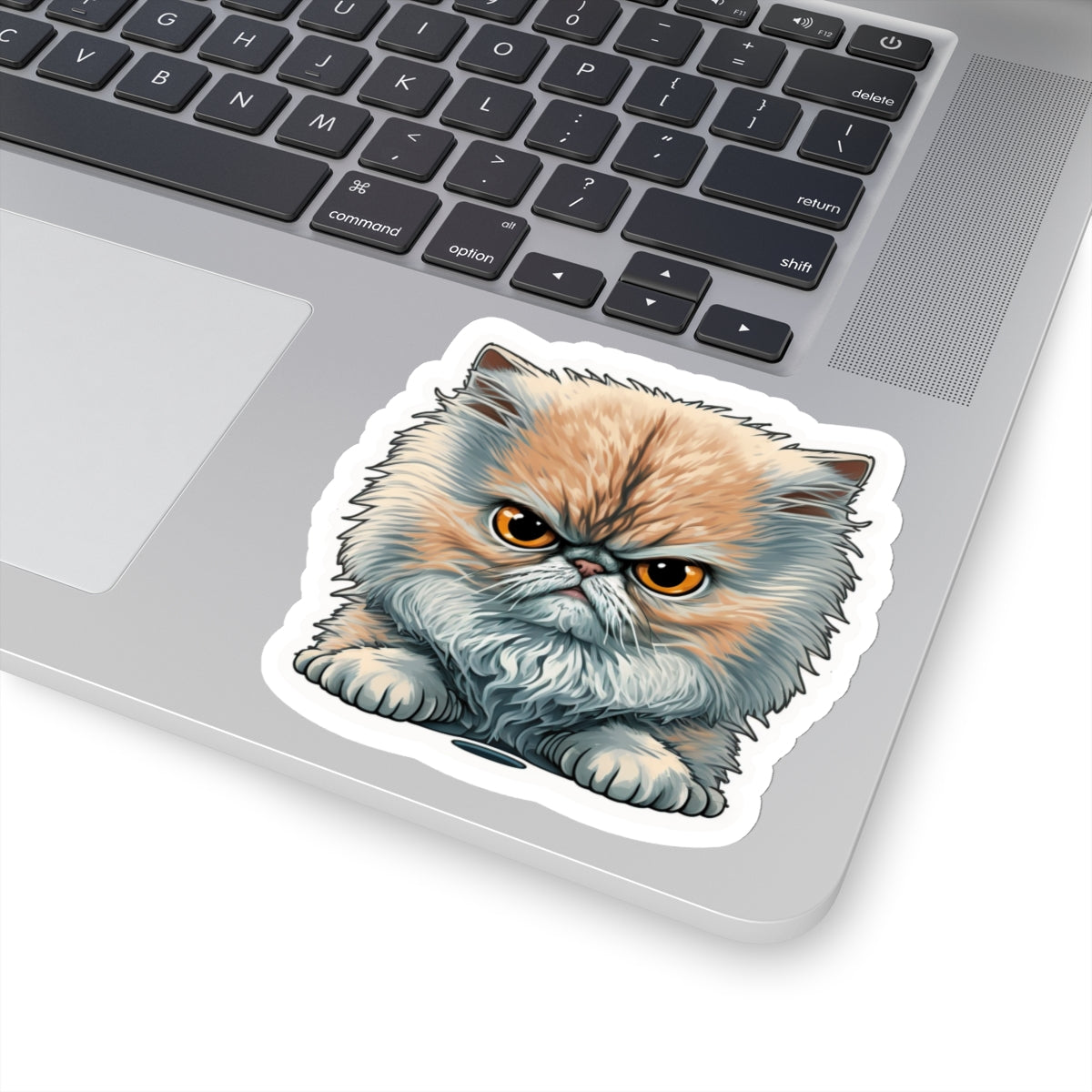 Kiss-Cut Sticker of cute funny angry cat kitten for your collection