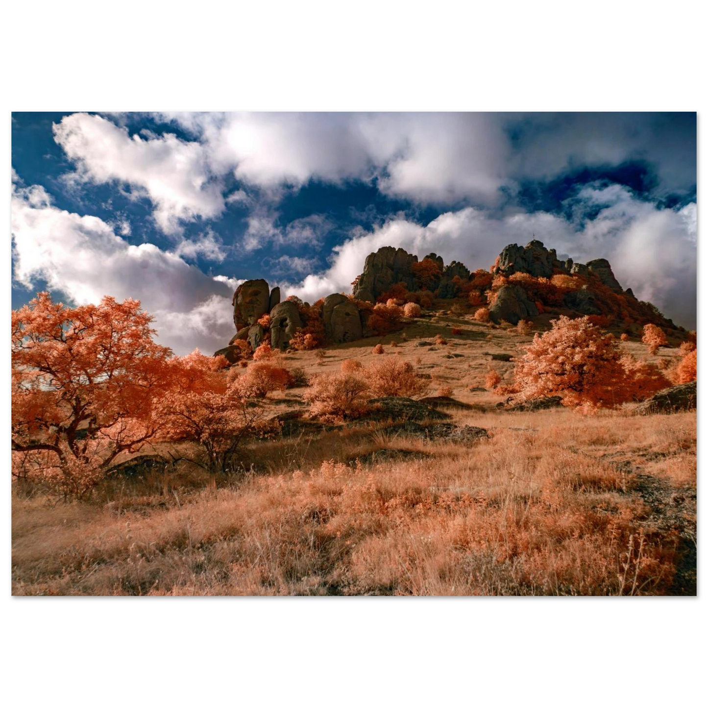 524930ca-10bd-4cdb-a364-3de205acbbb9