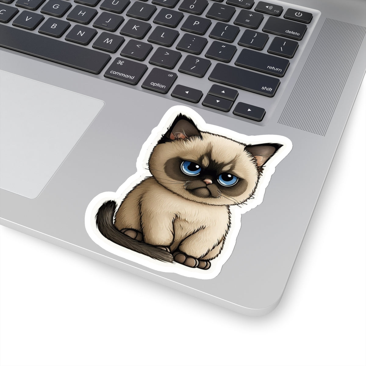 Kiss-Cut Sticker of cute funny cat kitten for your collection