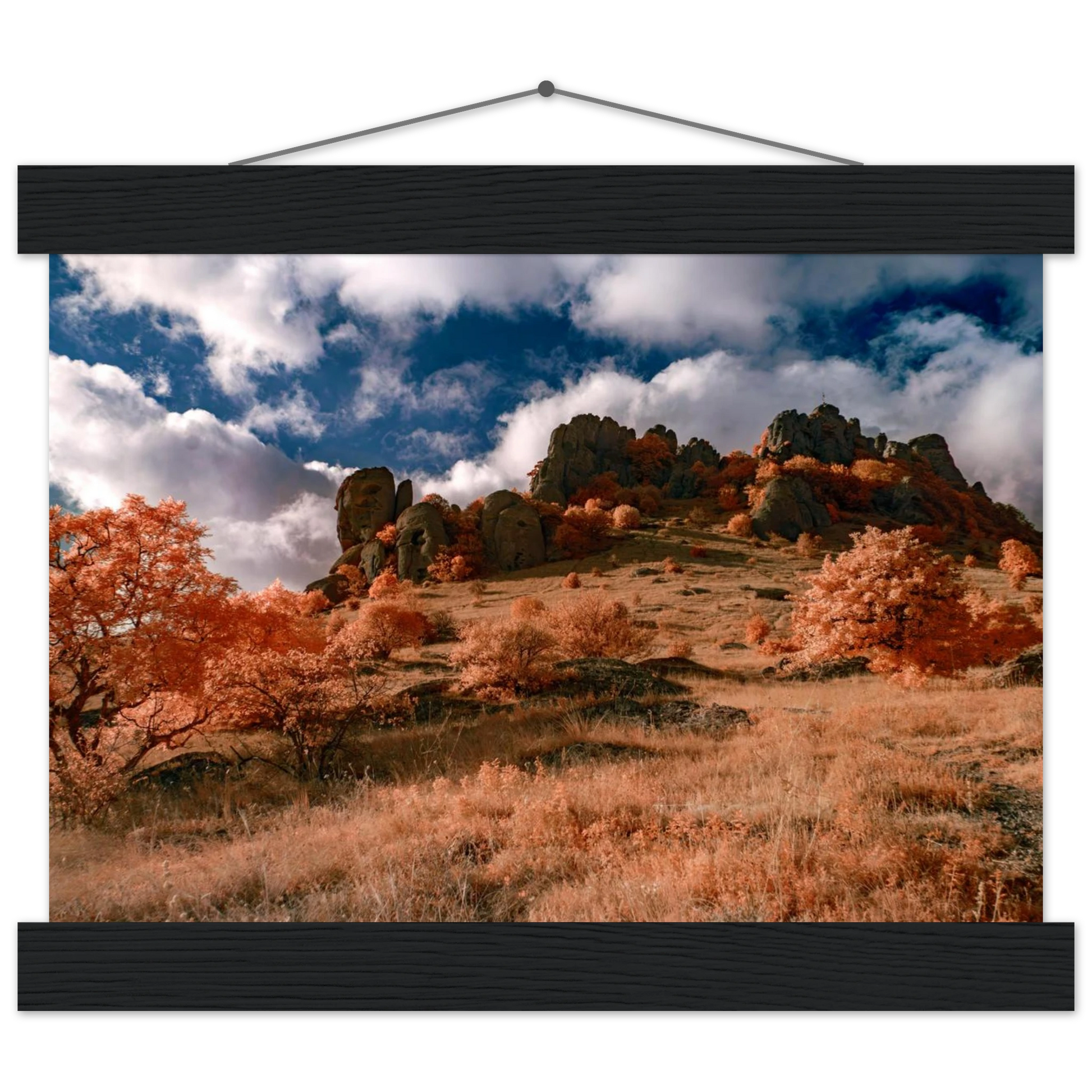 56092922-8f0f-425d-a87b-2b602a2c7b87