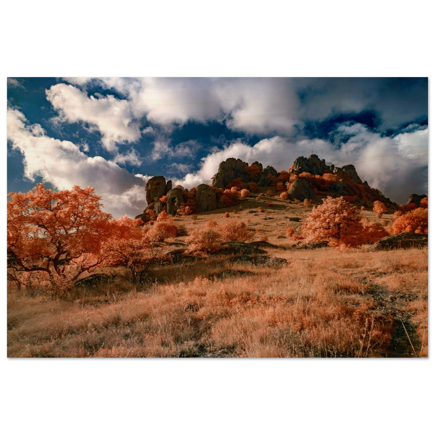 56dd3b25-820c-4767-9d34-217dc2bed599