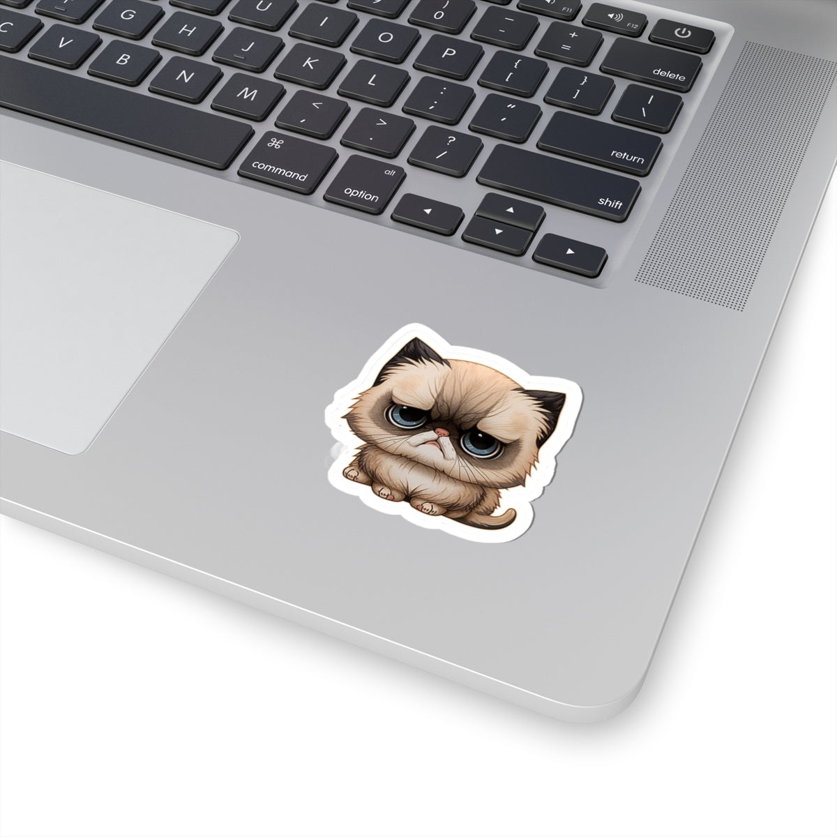 Kiss-Cut Sticker of cute funny cat kitten for your collection