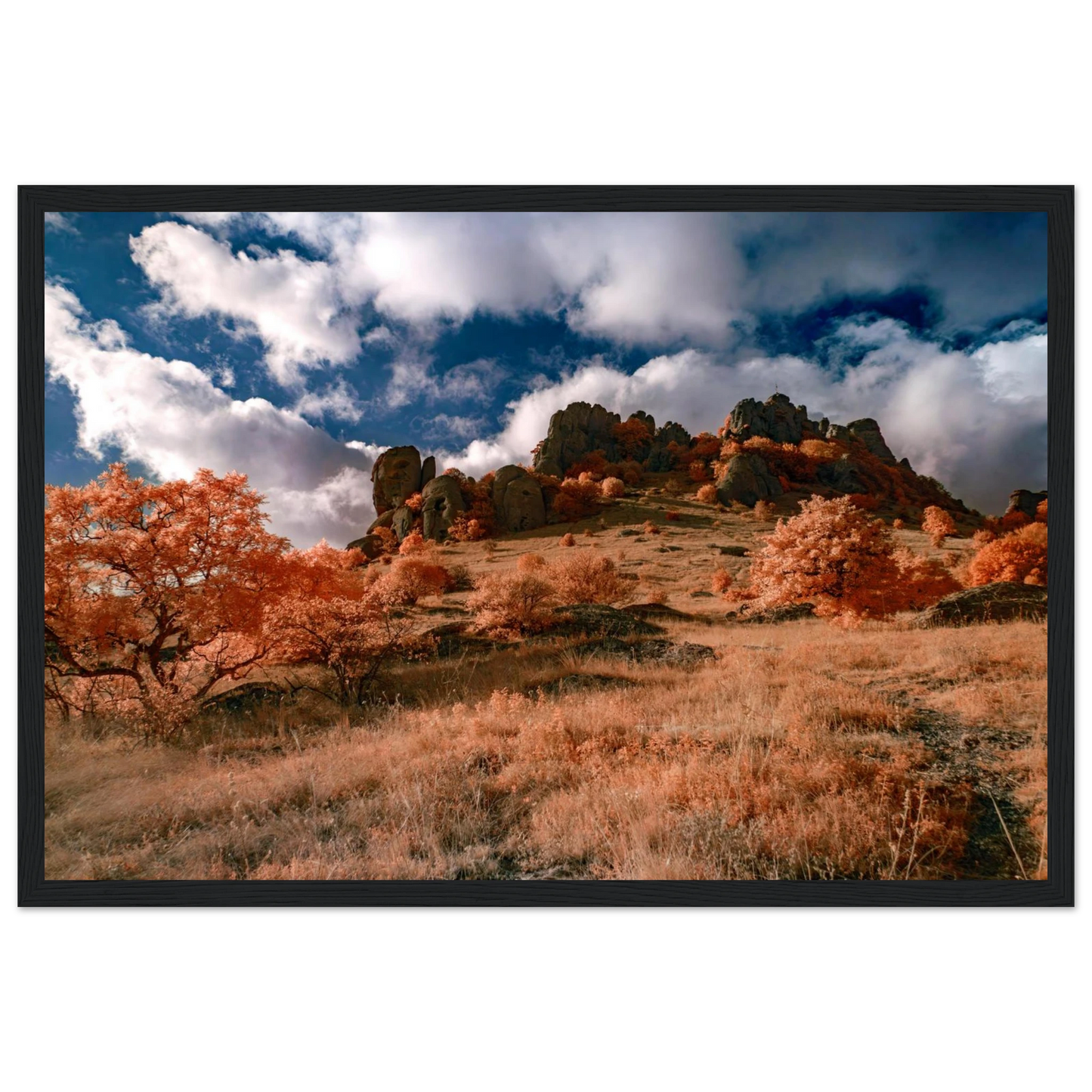 57423ae7-5f66-4e4b-8301-e49863b85724