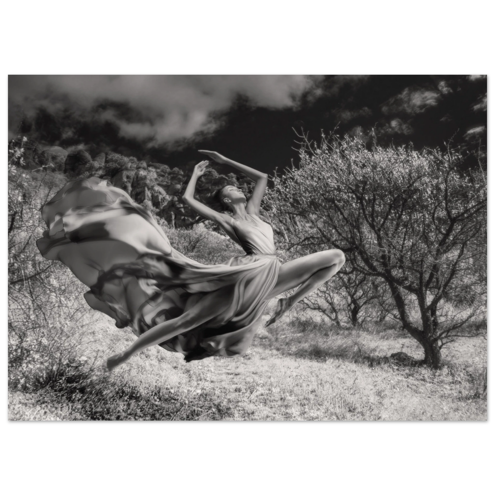 57802b04-3e4b-40f3-a7d5-361539749eb0