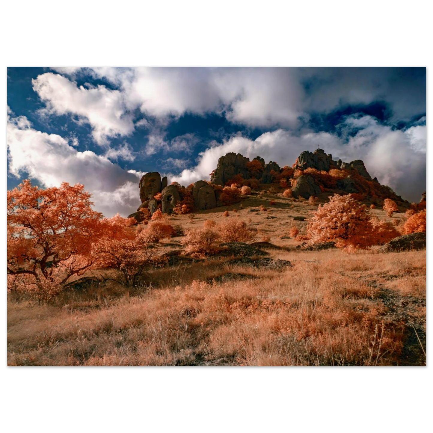 578d15a7-3085-4779-93a0-a4f02ad06dd2