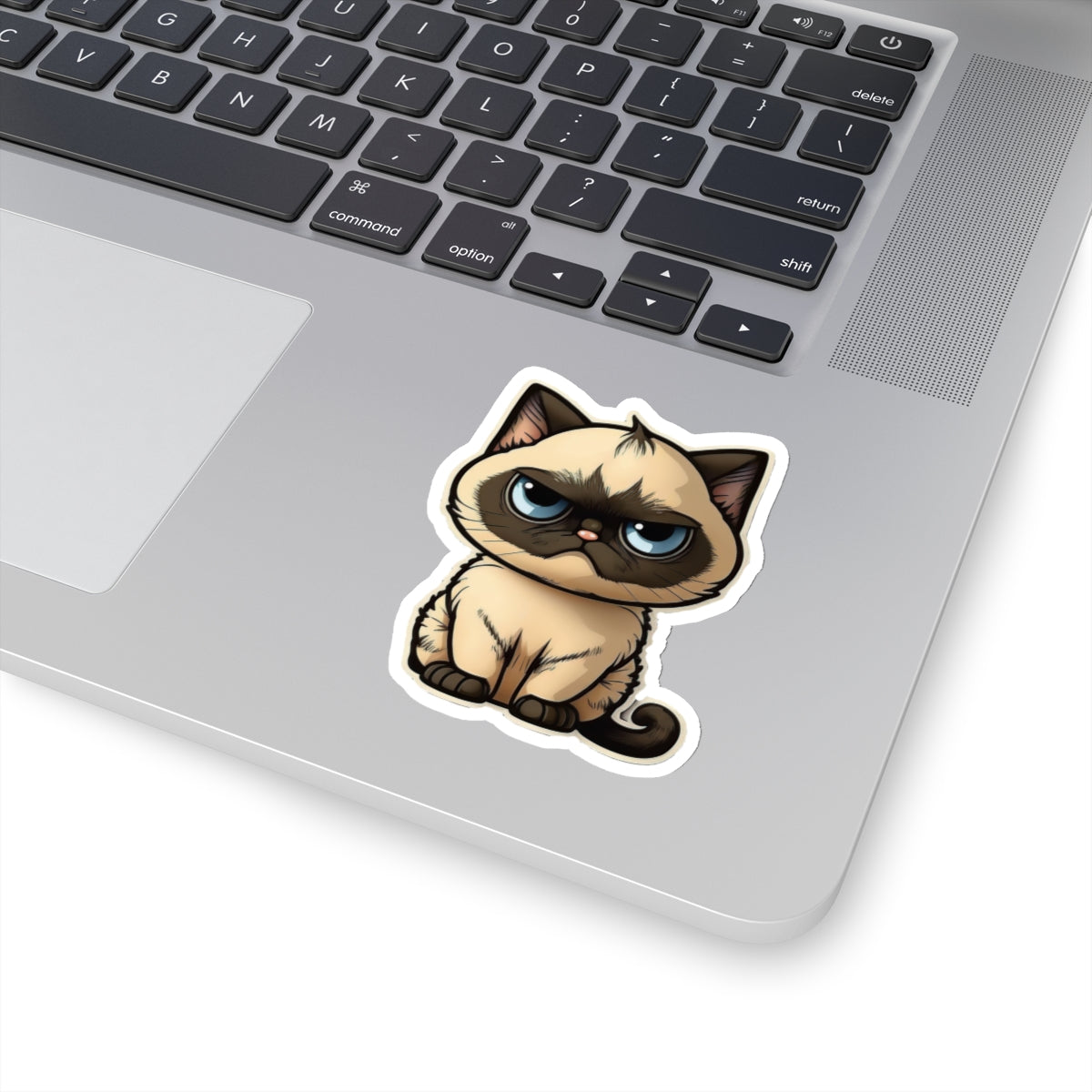 Kiss-Cut Sticker of cute funny cat kitten  for your collection
