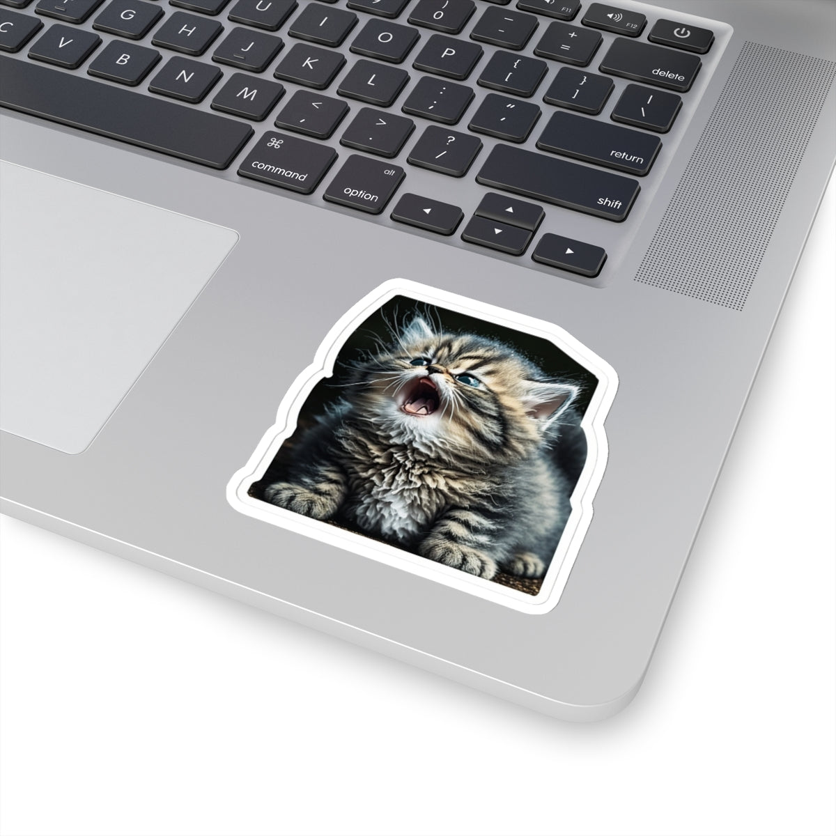 Kiss-Cut Sticker of cute funny siberian cat kitten for your collection
