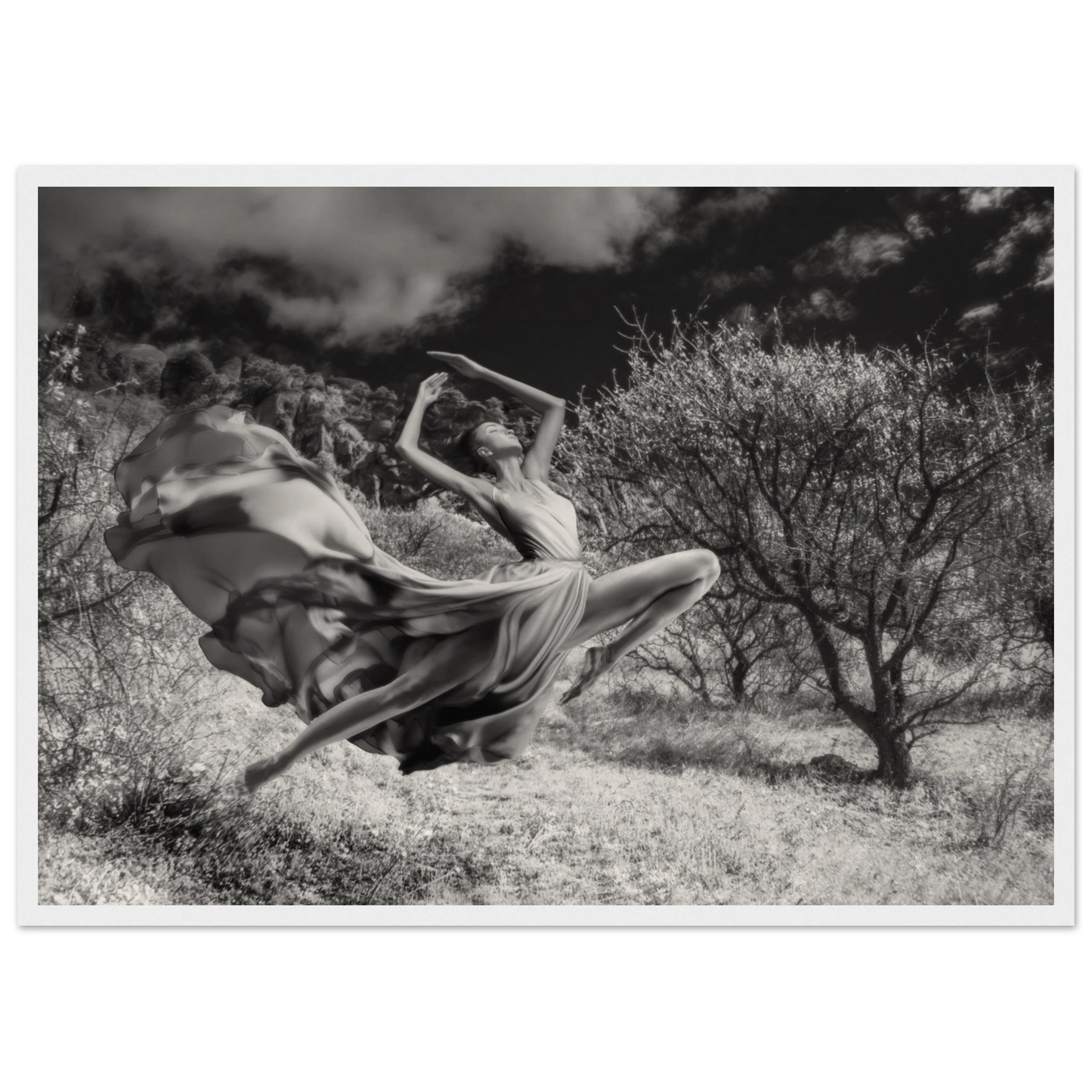 58c52150-161c-4ab1-8516-91ecd59fcc3d