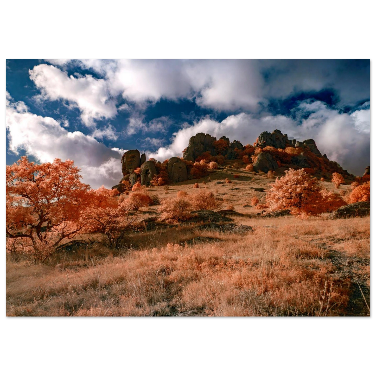 590a4f0d-d482-41b0-9162-fa31982eaa0f