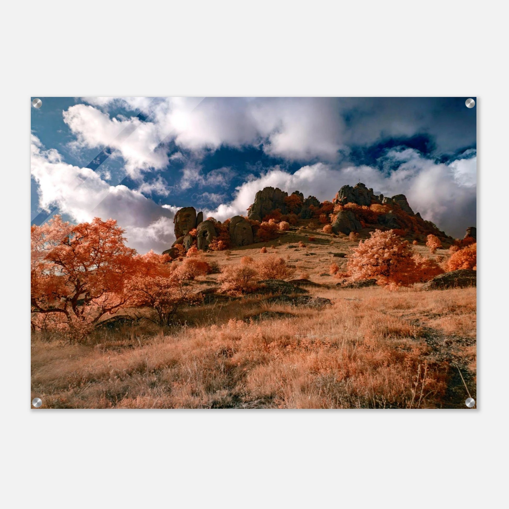 591ac687-1dc9-4bd7-99b6-cae3c41d8c66