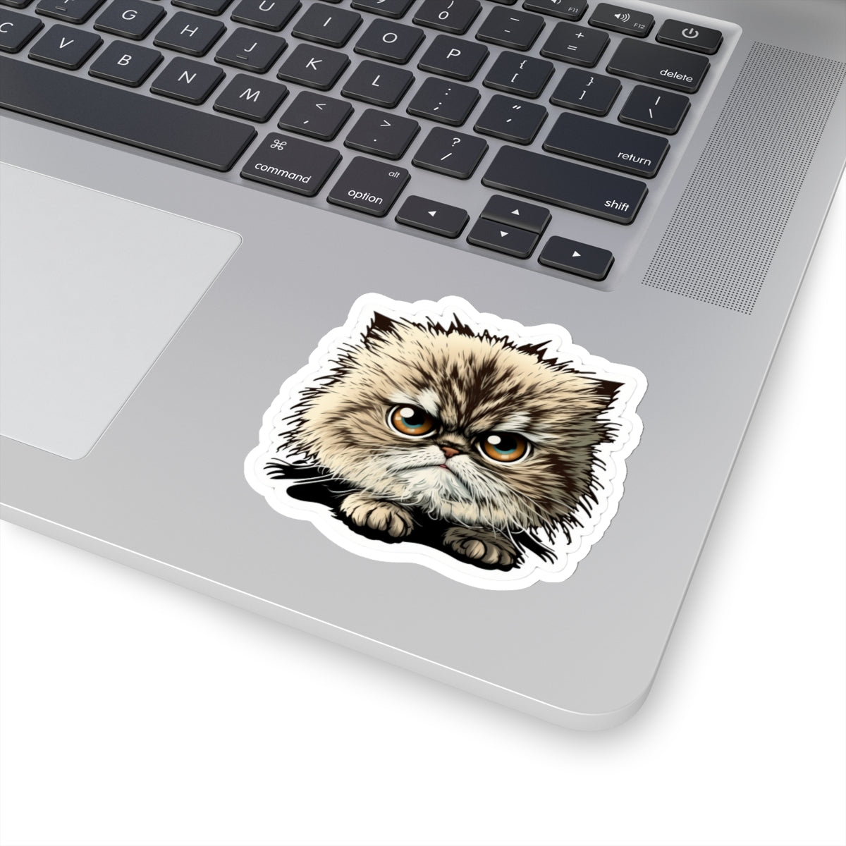 Kiss-Cut Sticker of cute funny cat kitten  for your collection