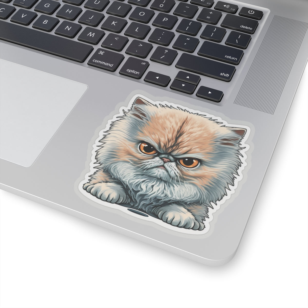 Kiss-Cut Sticker of cute funny angry cat kitten for your collection