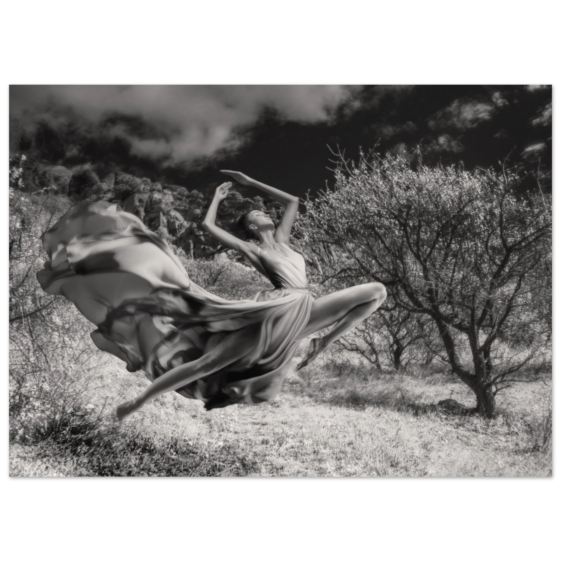 5bc339f9-39c4-40a9-864e-02080e38d126