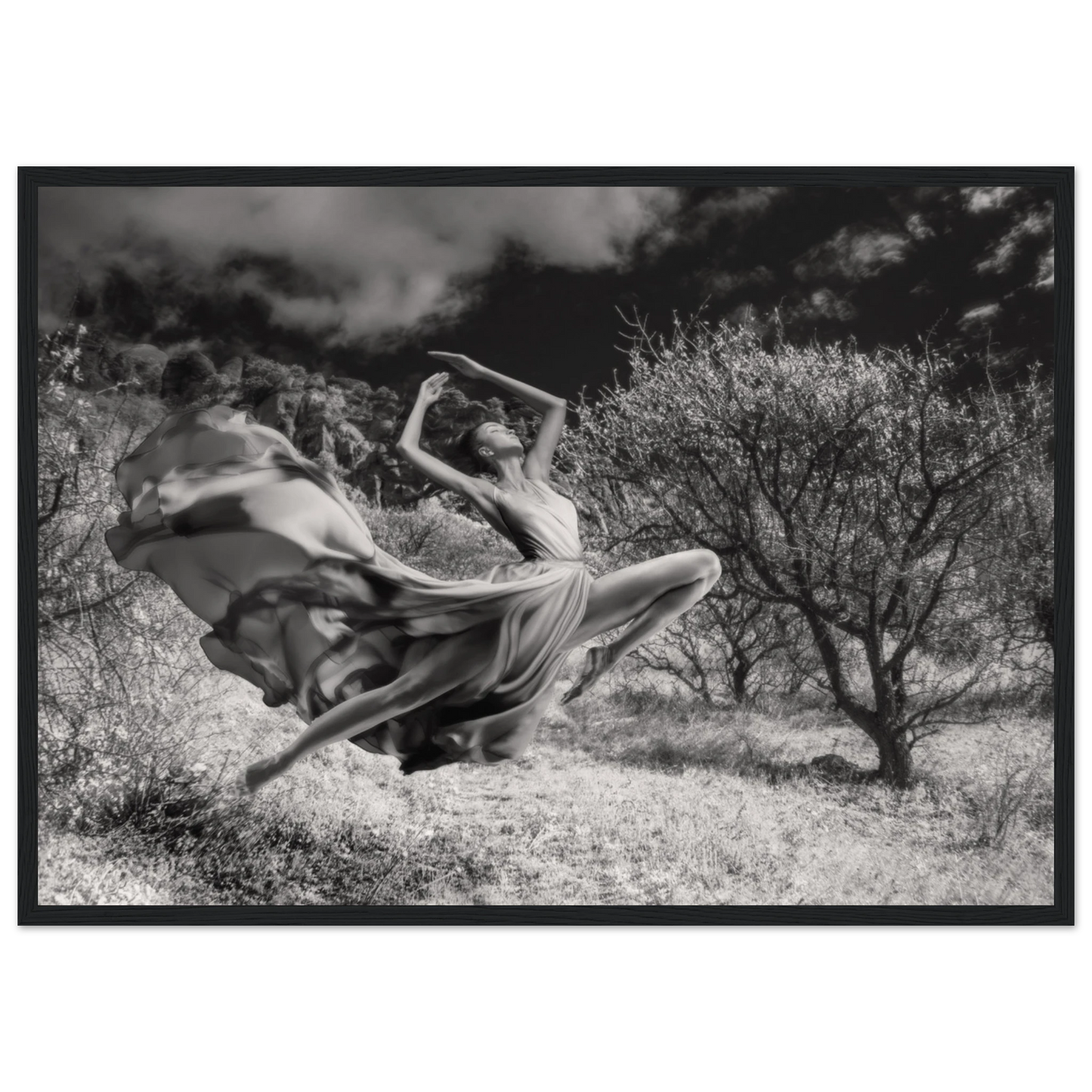 5cb05aa8-7cca-4607-93a6-f11ff6ad9969