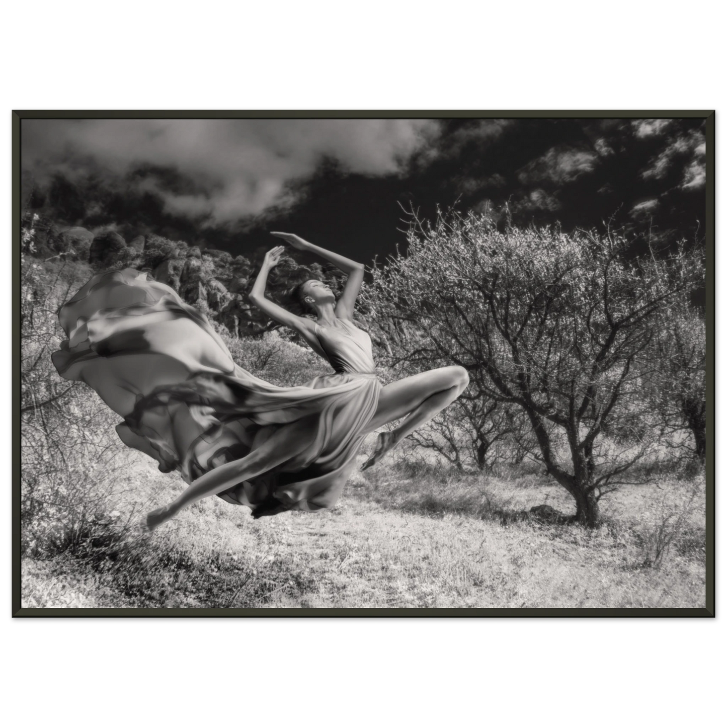 5cca57fa-e0cb-47d6-b2c4-8e1a827a10ad