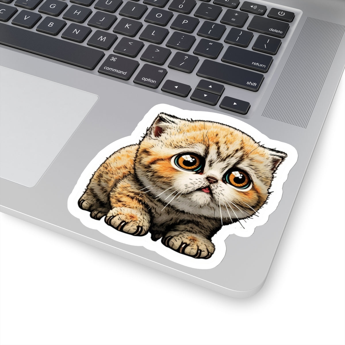 Kiss-Cut Sticker of cute funny cat kitten for your collection