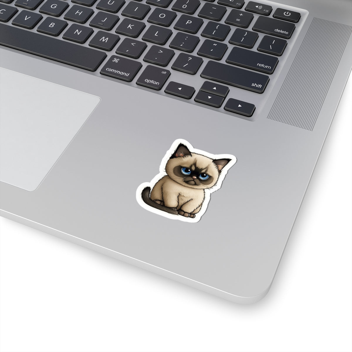 Kiss-Cut Sticker of cute funny cat kitten for your collection
