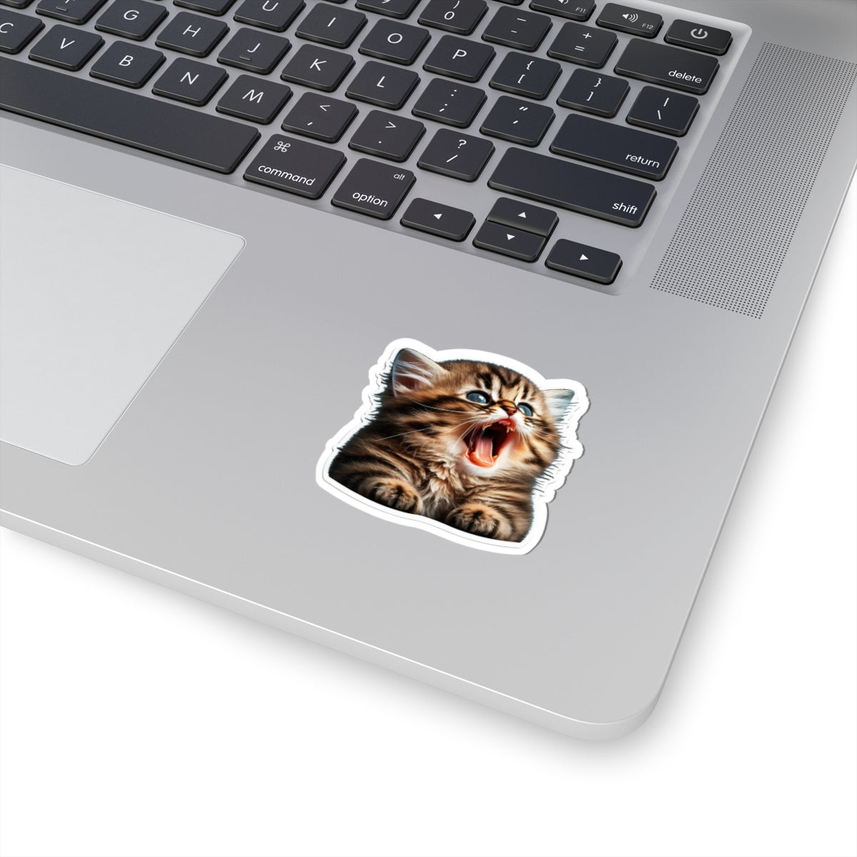 Kiss-Cut Sticker of cute funny golden chinchilla cat kitten for your collection