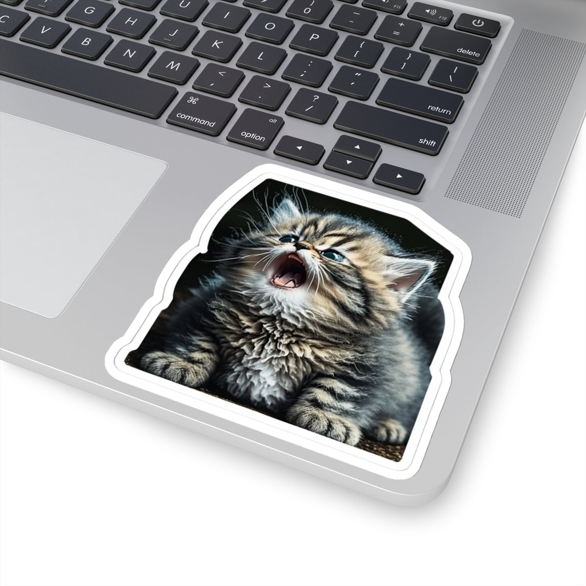 Kiss-Cut Sticker of cute funny siberian cat kitten for your collection