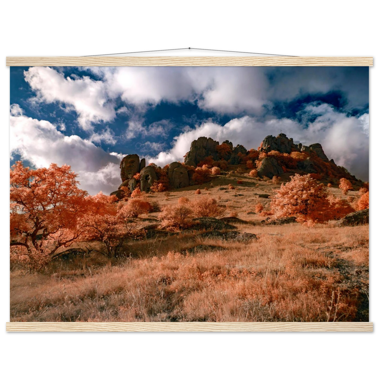 649e9a8c-316b-4333-a242-10899dd52d4b