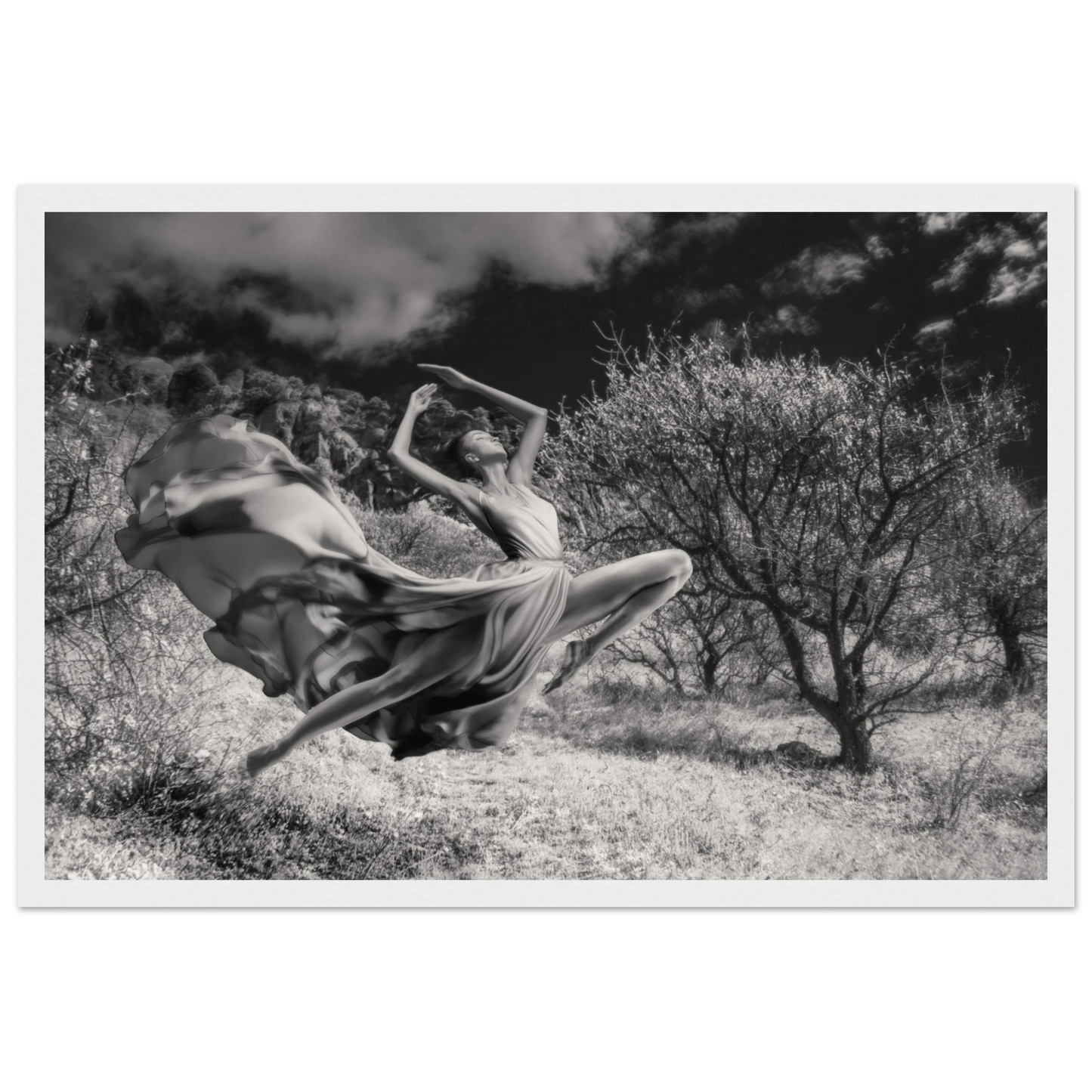 65811cfa-4a77-4db2-80fa-9f13fc1e17c8