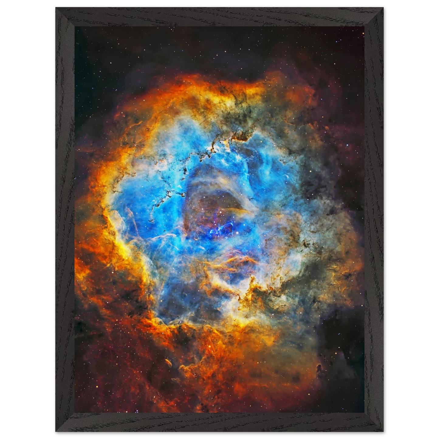 6598d3d0-e188-47ff-987a-8c85d3abd249