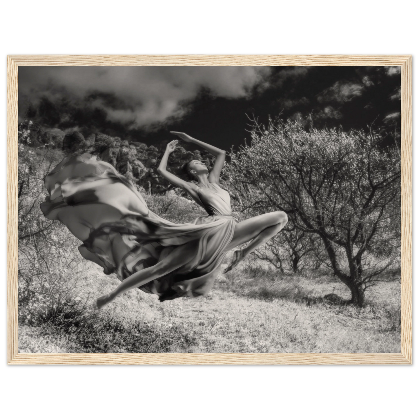 659e6d01-beff-43b4-8446-c5576de33ec0