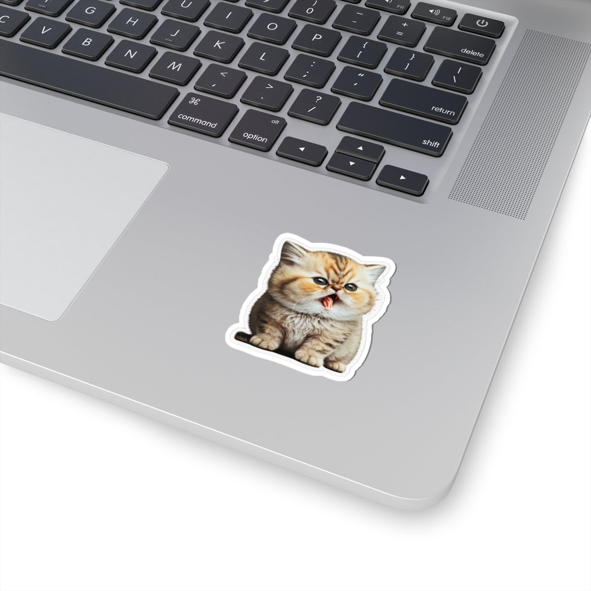 Kiss-Cut Sticker of cute funny golden chinchilla cat kitten for your collection