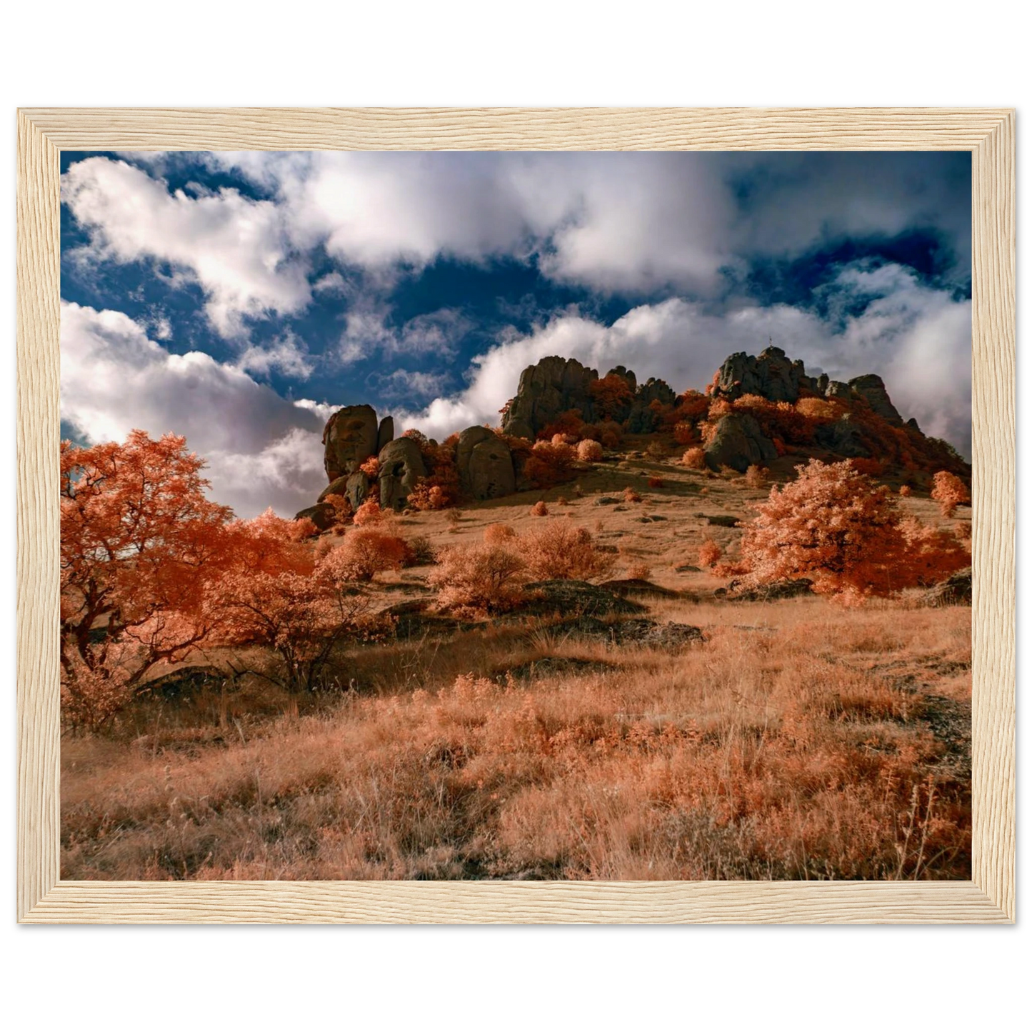 668f68ad-c381-4d0d-8cf5-dd7b71f828d4