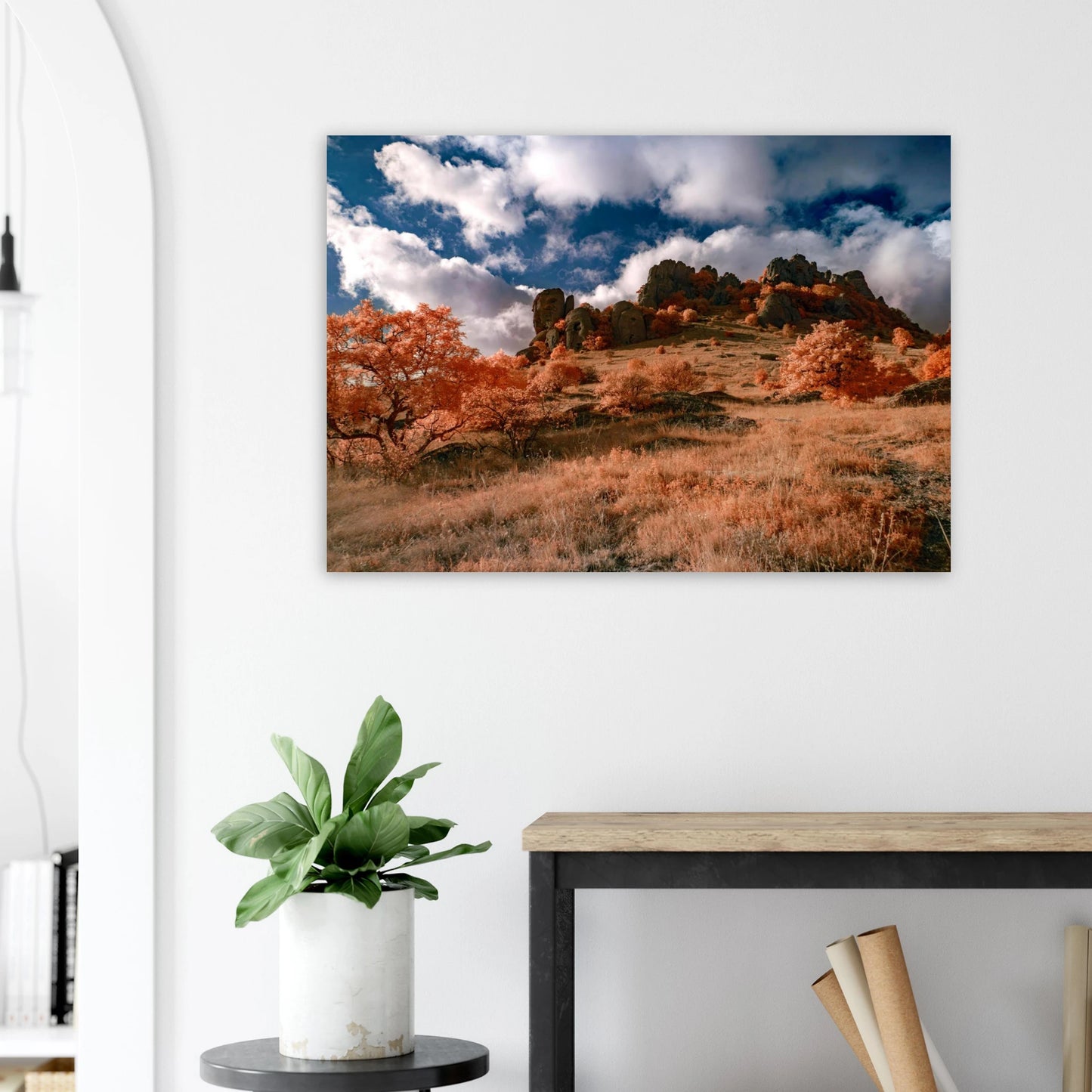 6705b76f-0a19-44b6-ae51-0d42a36ecabe