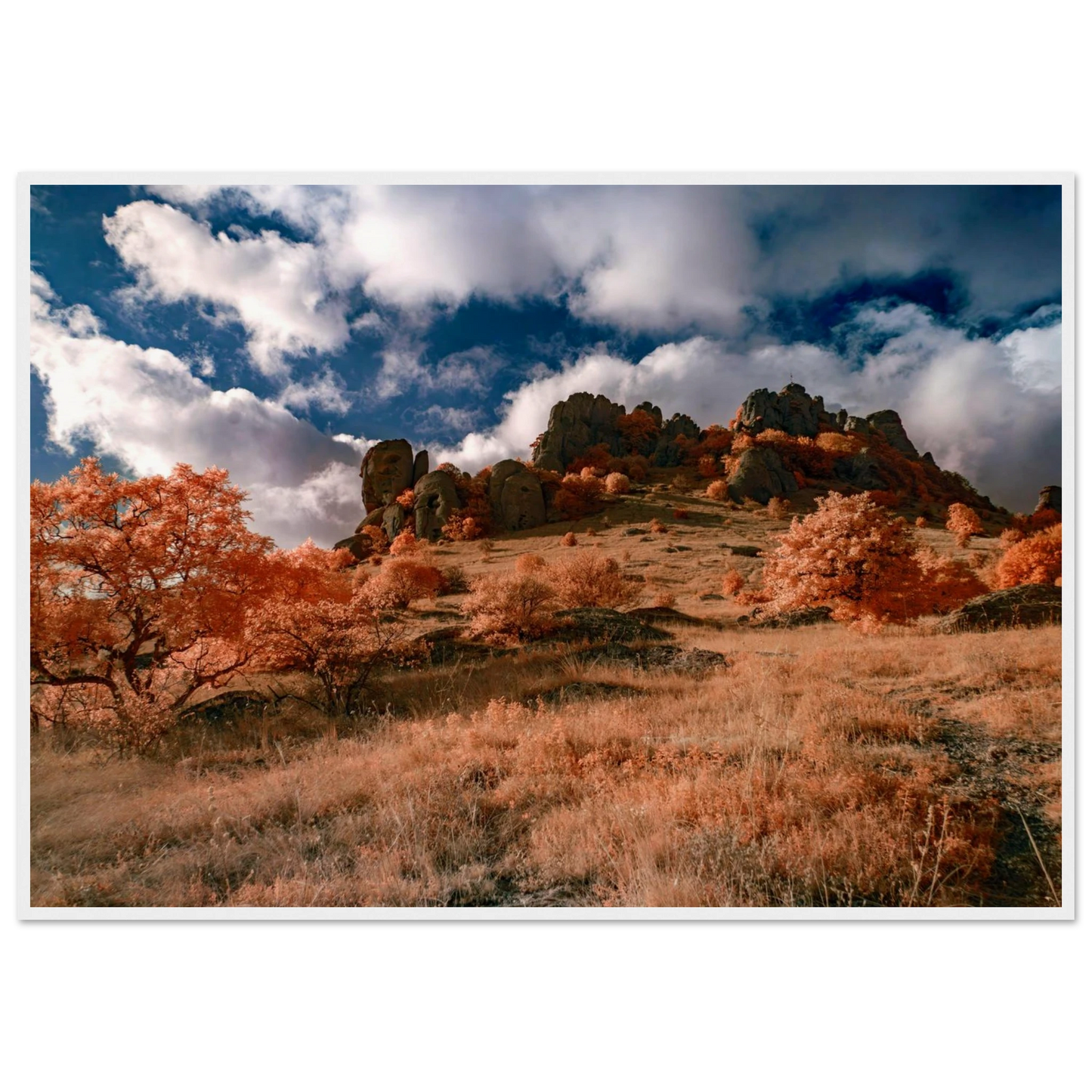 67b87e3d-7377-4150-a39c-3a92abf286ed