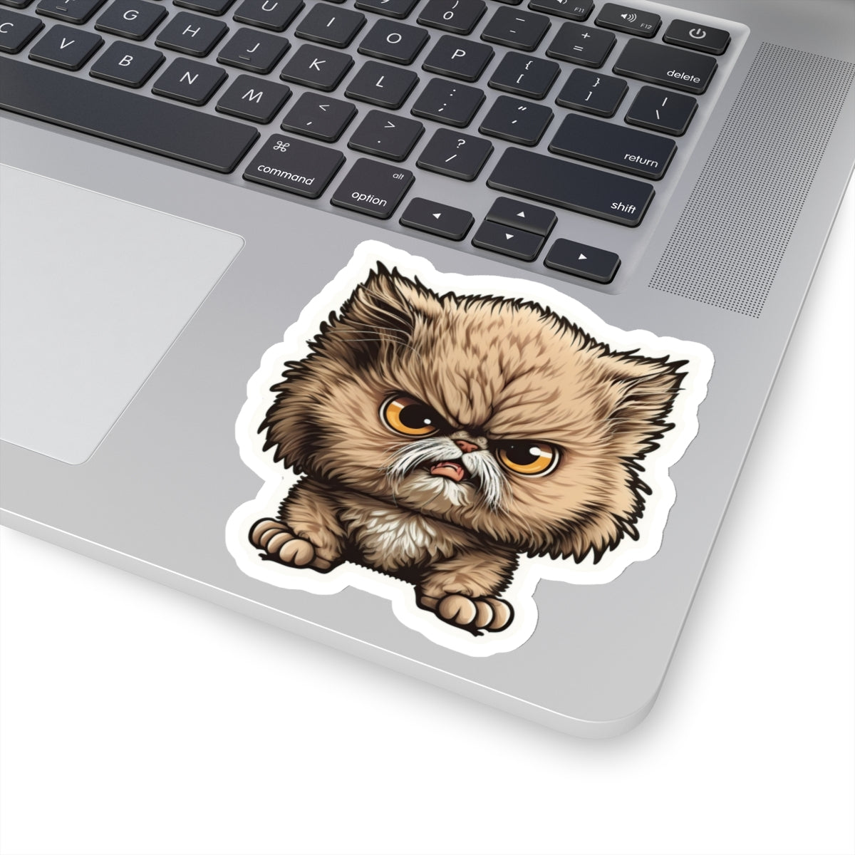 Kiss-Cut Sticker of cute funny angry cat kitten for your collection