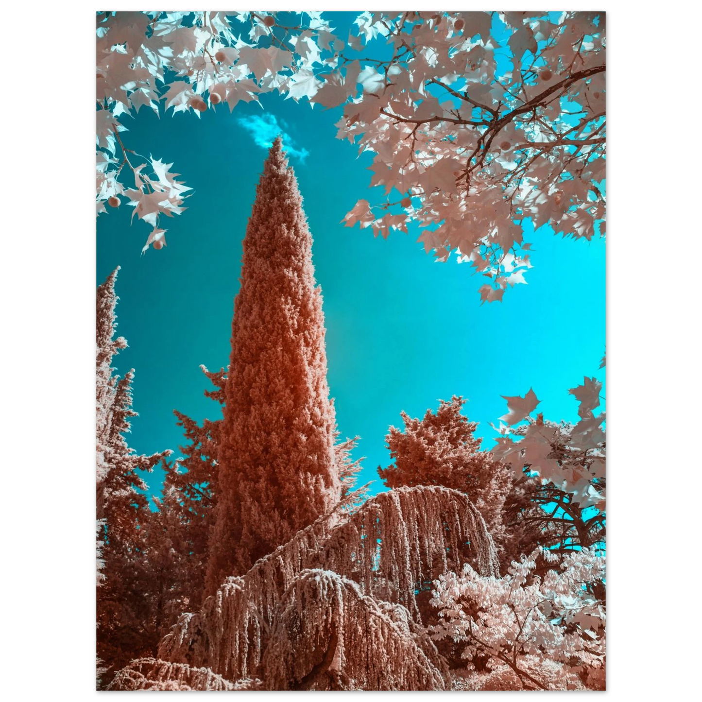 68429864-a8d4-494c-914a-779ea82f7b94