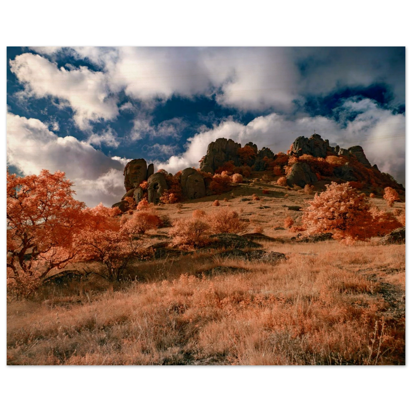 68bf37d6-8654-4283-aabb-86efd91b3bcf