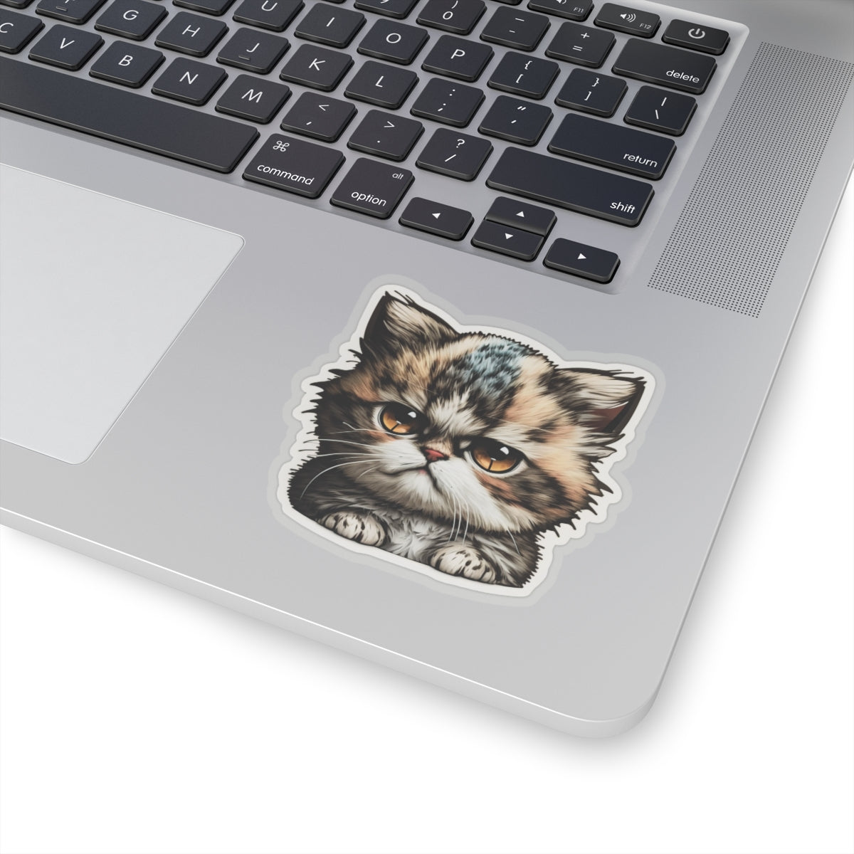 Kiss-Cut Sticker of cute funny grumpy cat kitten for your collection