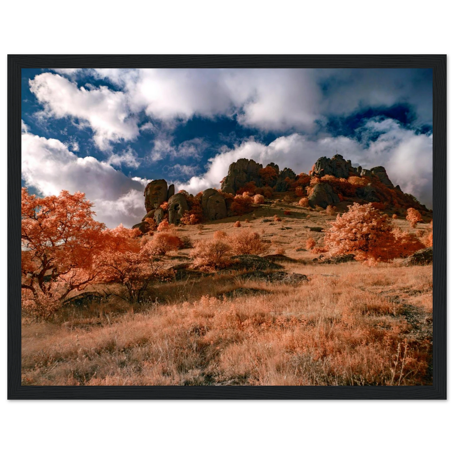 69ca8633-ac82-42b3-a44e-46abc036e0c3