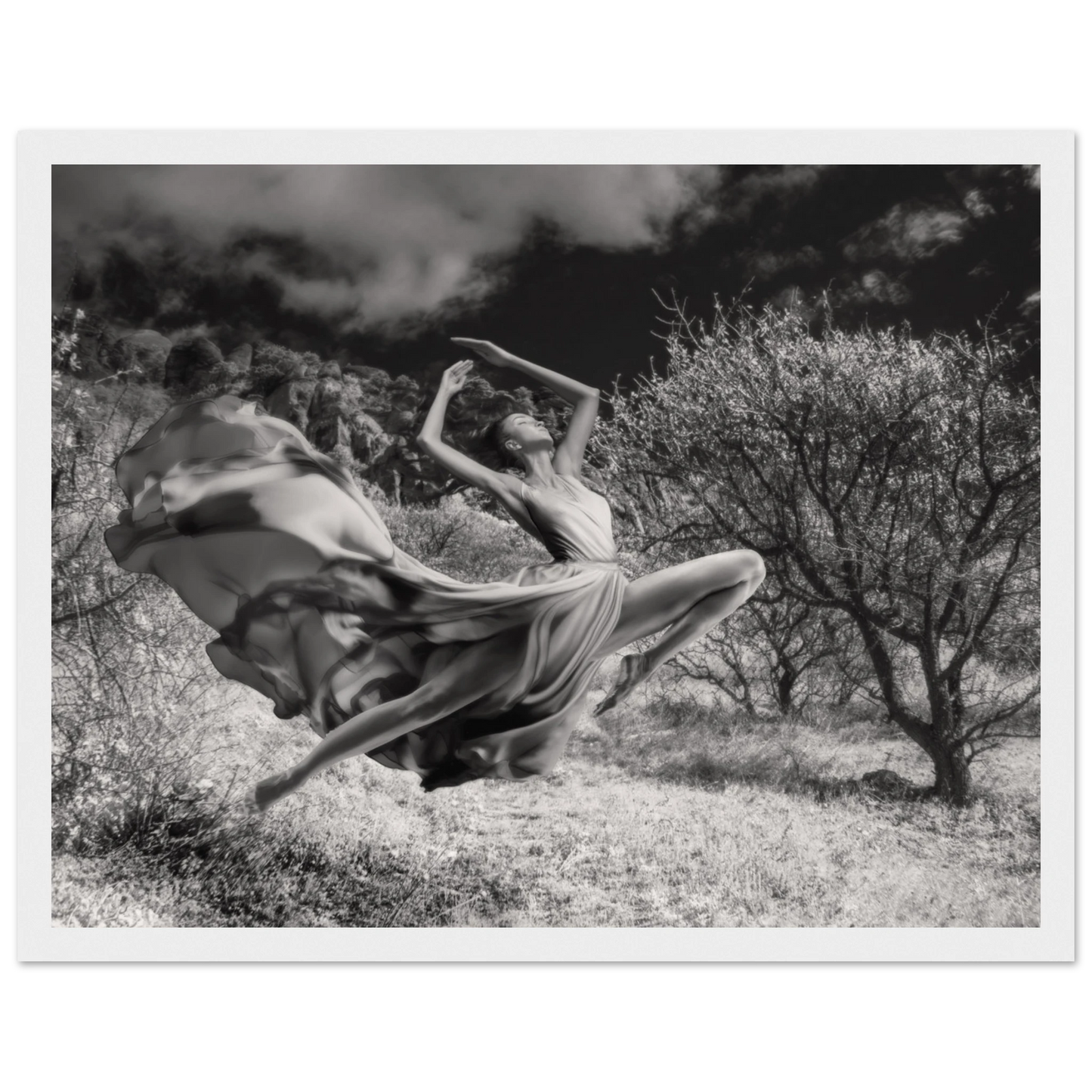 6a8dfd7e-26cf-41e5-aa68-86b3b197589e