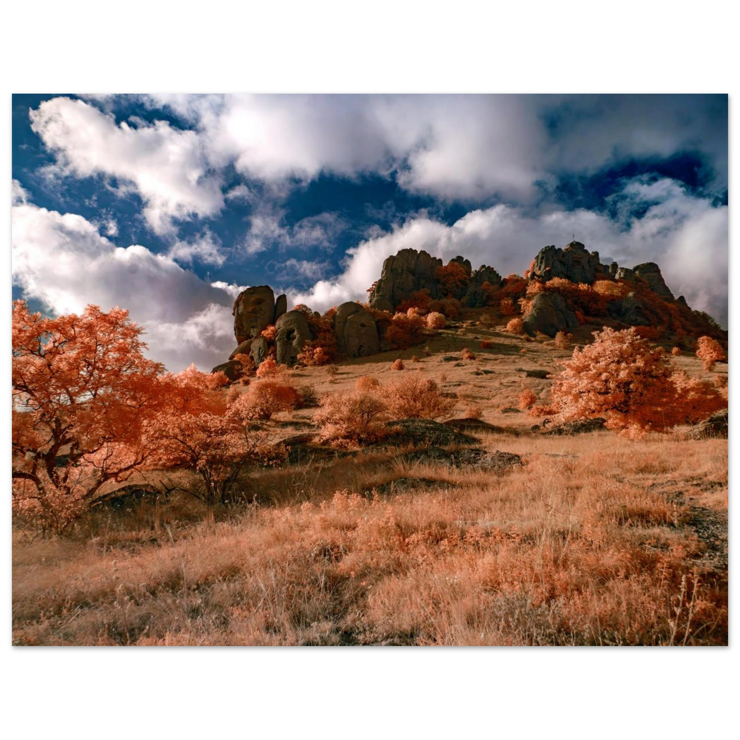 6b92c44c-d68b-42d9-81dd-031c643bd01f