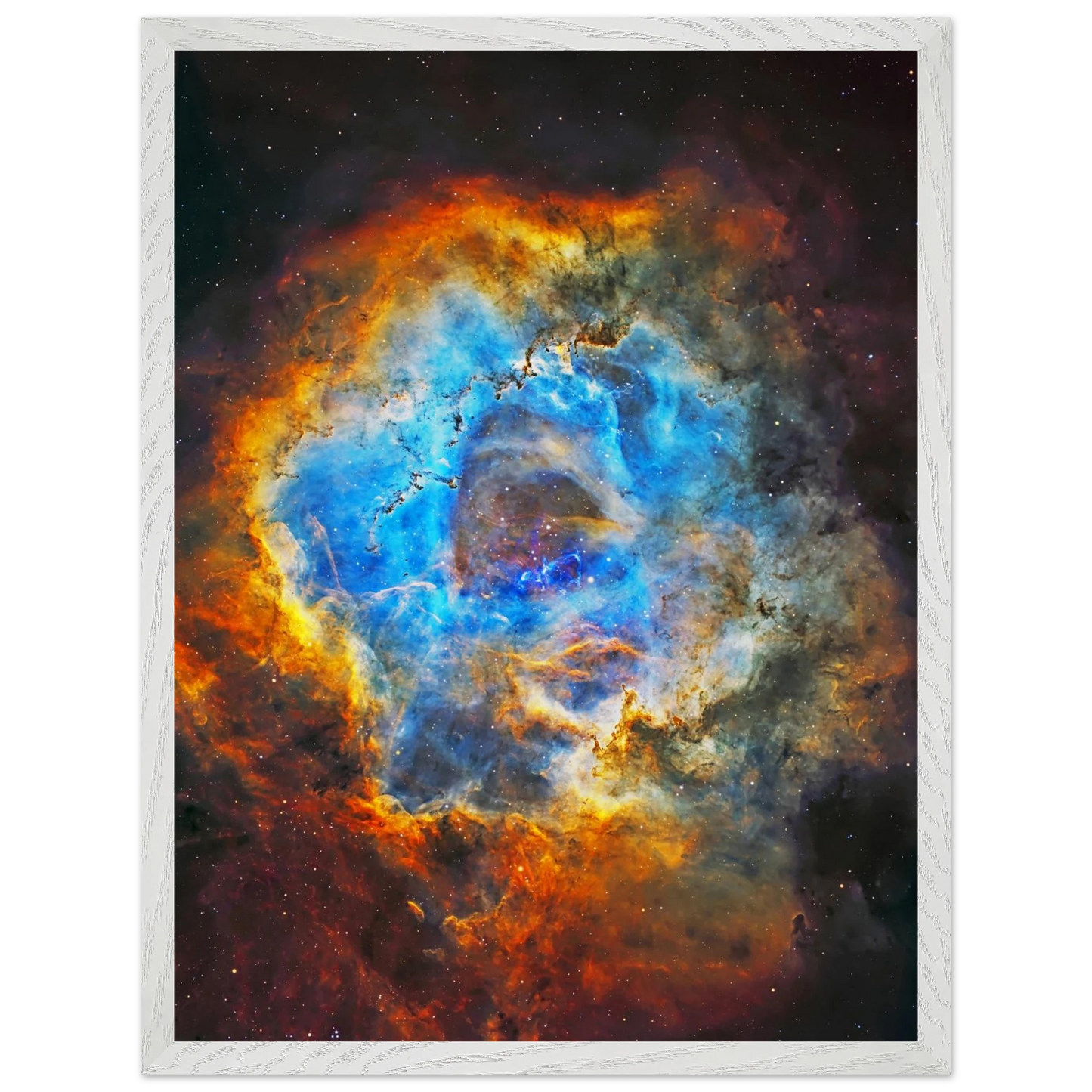 6c794d9c-ac86-4880-b898-fd9349854d29