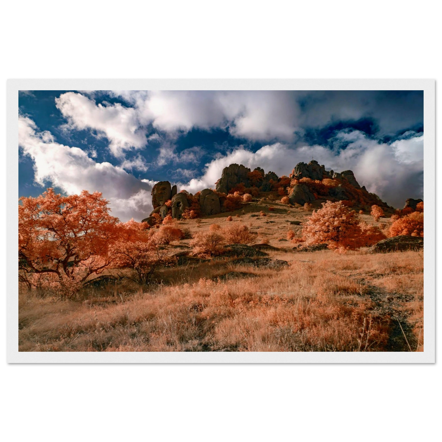 6d780088-4b6c-4f86-953e-6206ee42c2c2