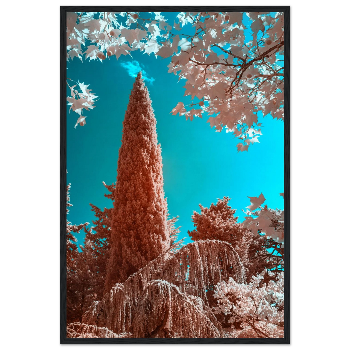 6e6d94e8-f291-4920-a4f9-ec657c3720ae