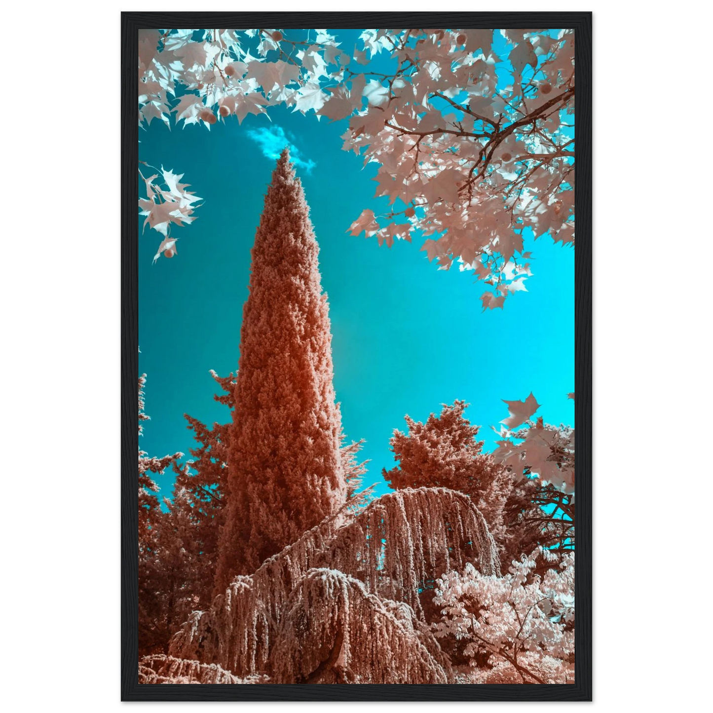 6e94be88-b537-4004-9e84-8fb1fd0f699d