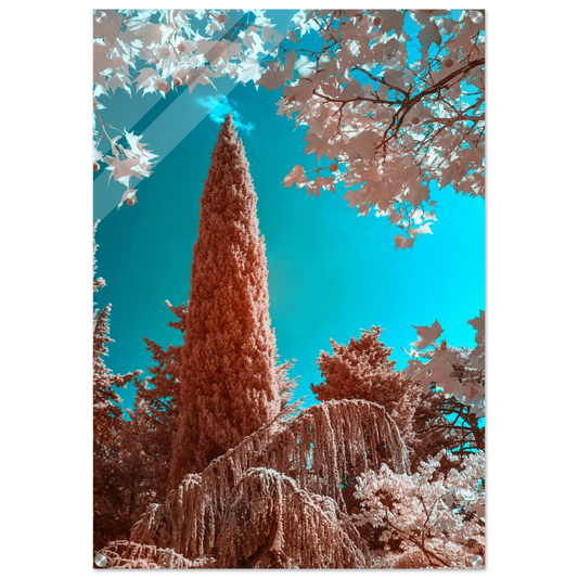 6fe15ca7-63ce-4dc1-ba3f-1893ae14aaba