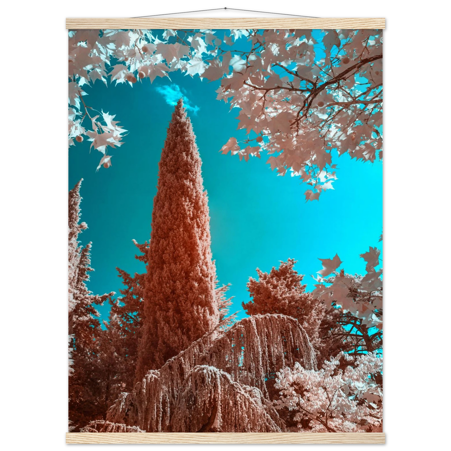 6ff3aa11-0241-468f-855f-88a78e0b3aa3